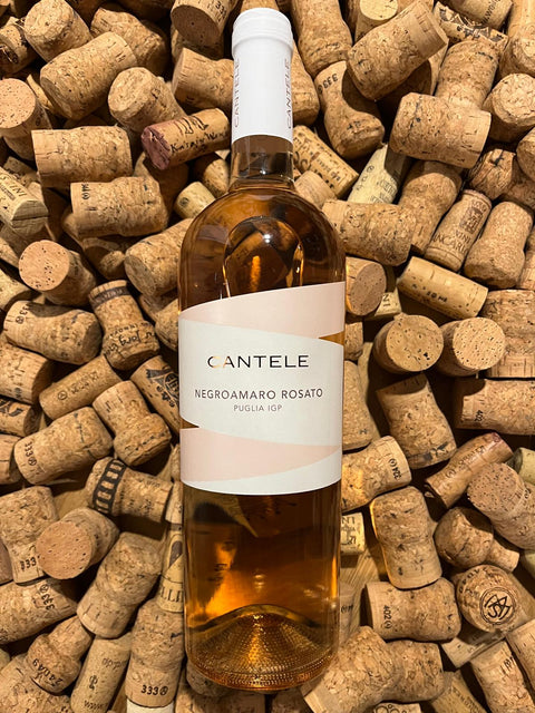 Negroamaro Rosato IGP Puglia